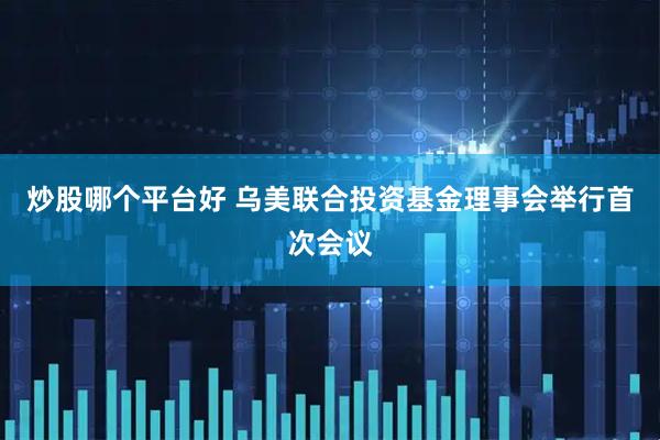 炒股哪个平台好 乌美联合投资基金理事会举行首次会议