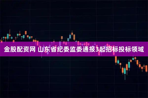 金股配资网 山东省纪委监委通报3起招标投标领域