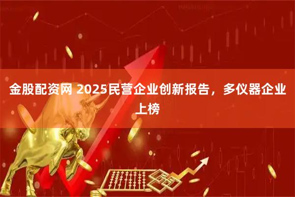 金股配资网 2025民营企业创新报告，多仪器企业上榜