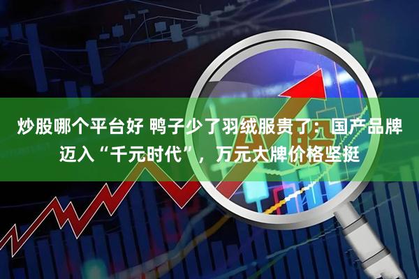 炒股哪个平台好 鸭子少了羽绒服贵了：国产品牌迈入“千元时代”，万元大牌价格坚挺