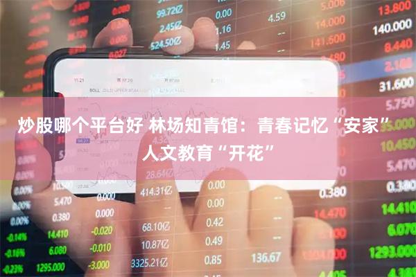 炒股哪个平台好 林场知青馆：青春记忆“安家” 人文教育“开花”