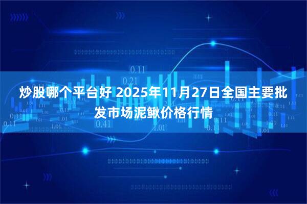 炒股哪个平台好 2025年11月27日全国主要批发市场泥鳅价格行情