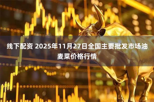 线下配资 2025年11月27日全国主要批发市场油麦菜价格行情