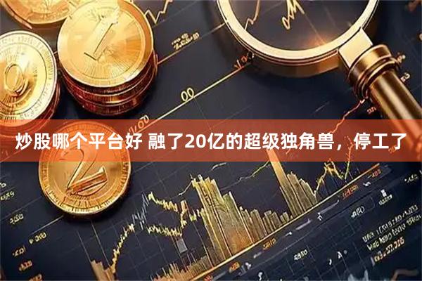 炒股哪个平台好 融了20亿的超级独角兽，停工了