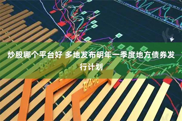炒股哪个平台好 多地发布明年一季度地方债券发行计划