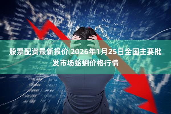 股票配资最新报价 2026年1月25日全国主要批发市场蛤蜊价格行情