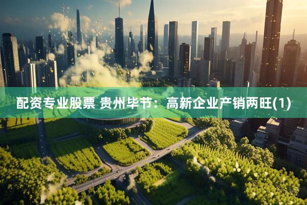 配资专业股票 贵州毕节：高新企业产销两旺(1)