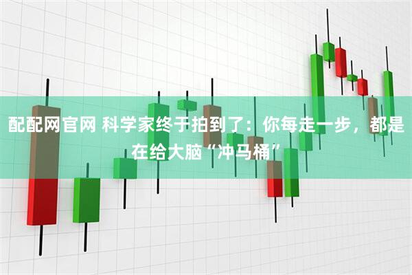 配配网官网 科学家终于拍到了：你每走一步，都是在给大脑“冲马桶”